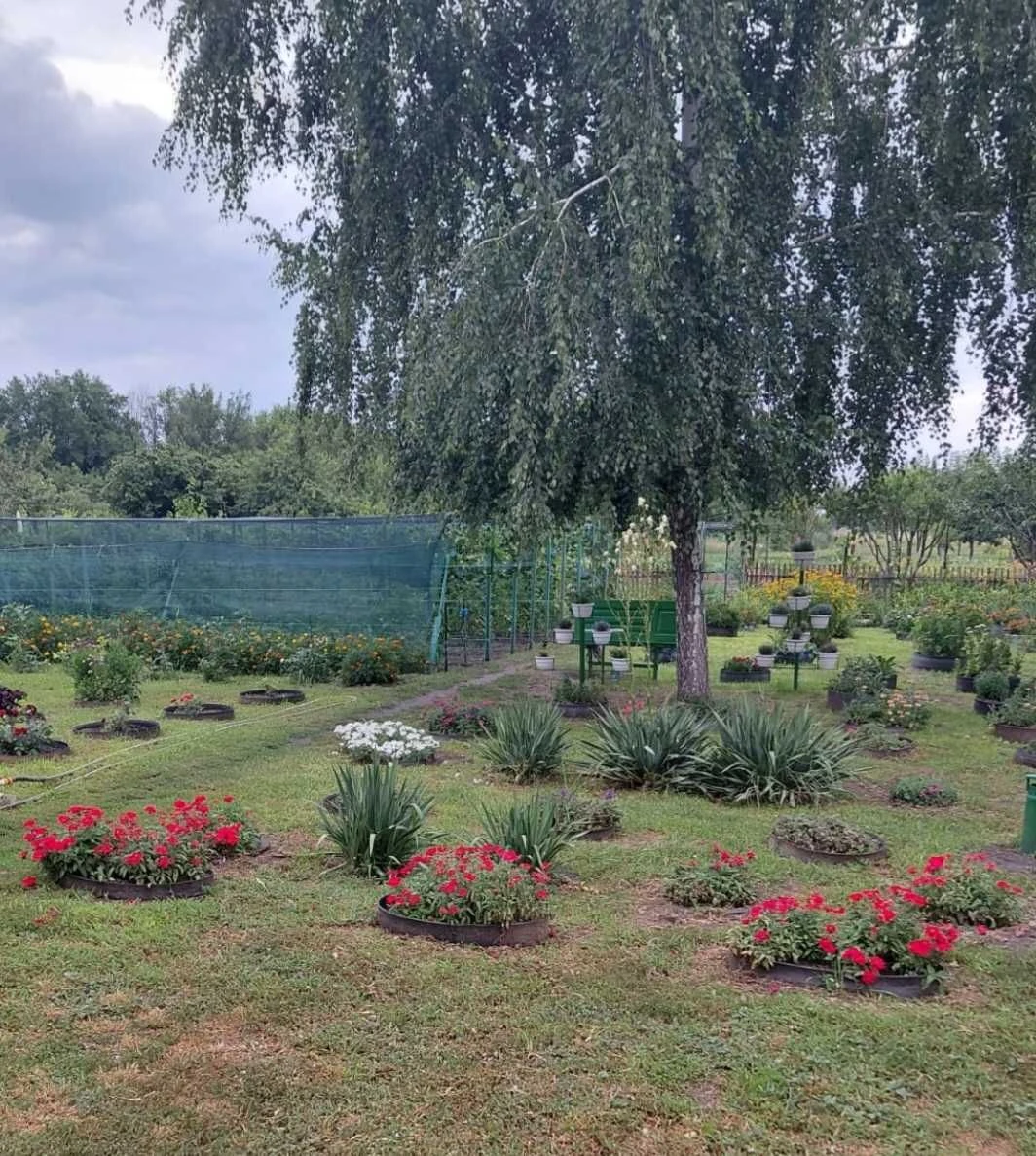 Продажа недвижимости