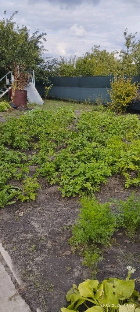 Продам дачу  район Пзто