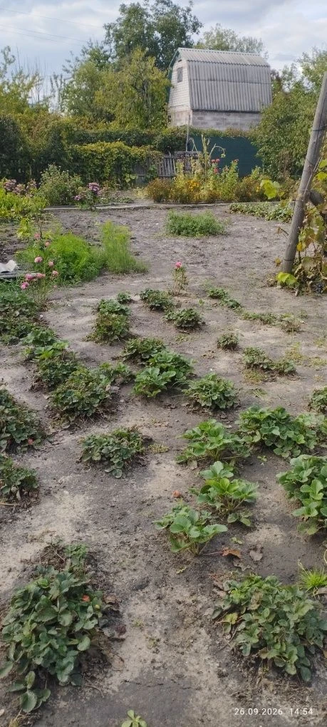 Продам дачу  район Пзто