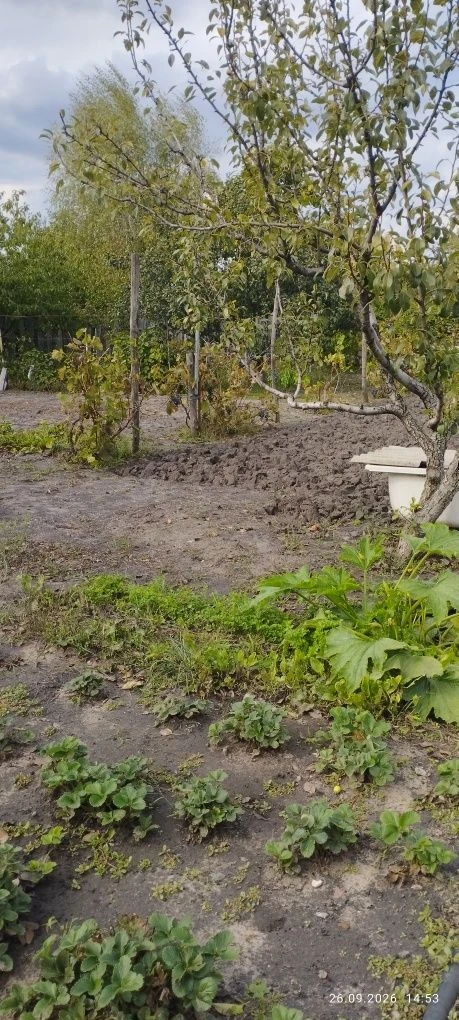Продам дачу  район Пзто