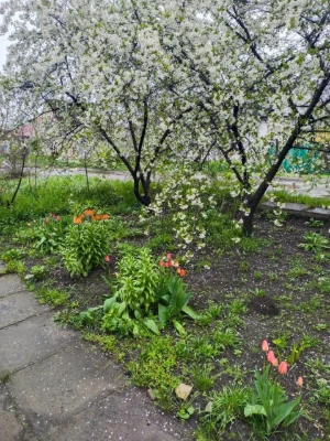 Продам дом в Павлоград 45м2