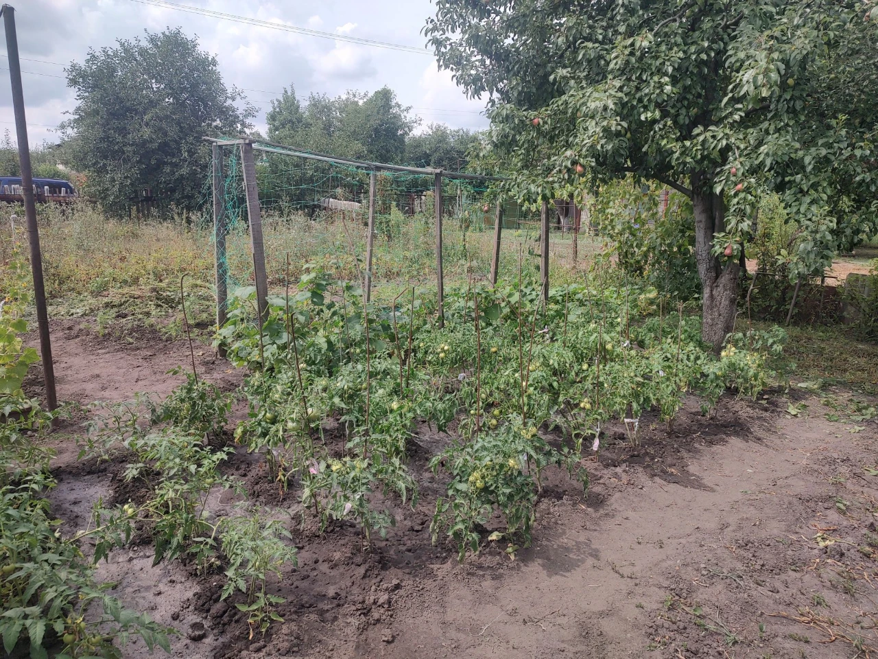продам дачу  Бельбес