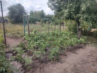 продам дачу  Бельбес