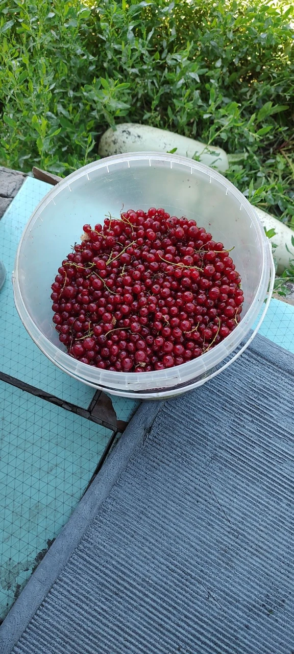 продам дачу  Бельбес