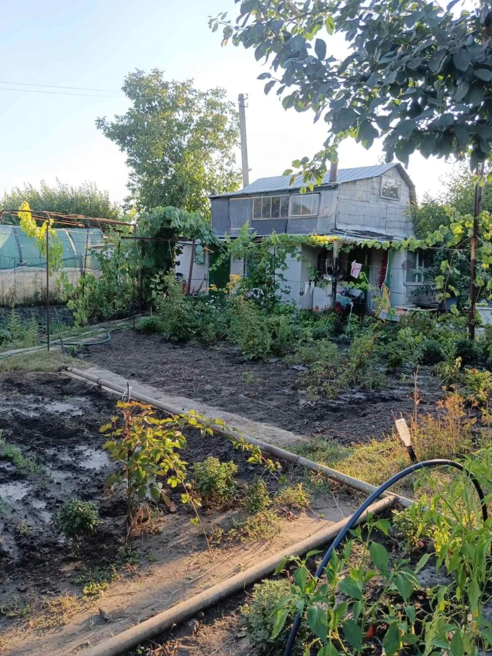 продам дачу на ПЗТО