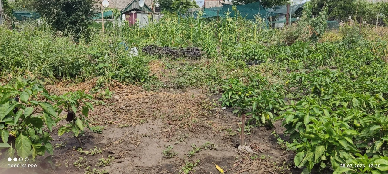 Продам пів будинку в Павлограде