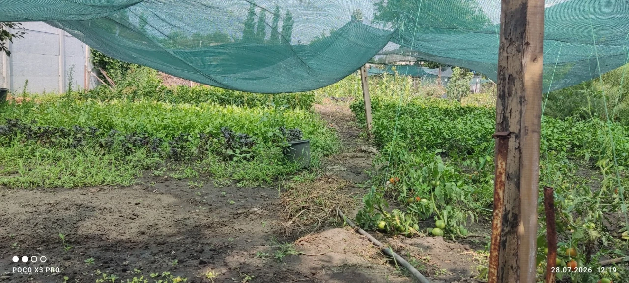 Продам пів будинку в Павлограде