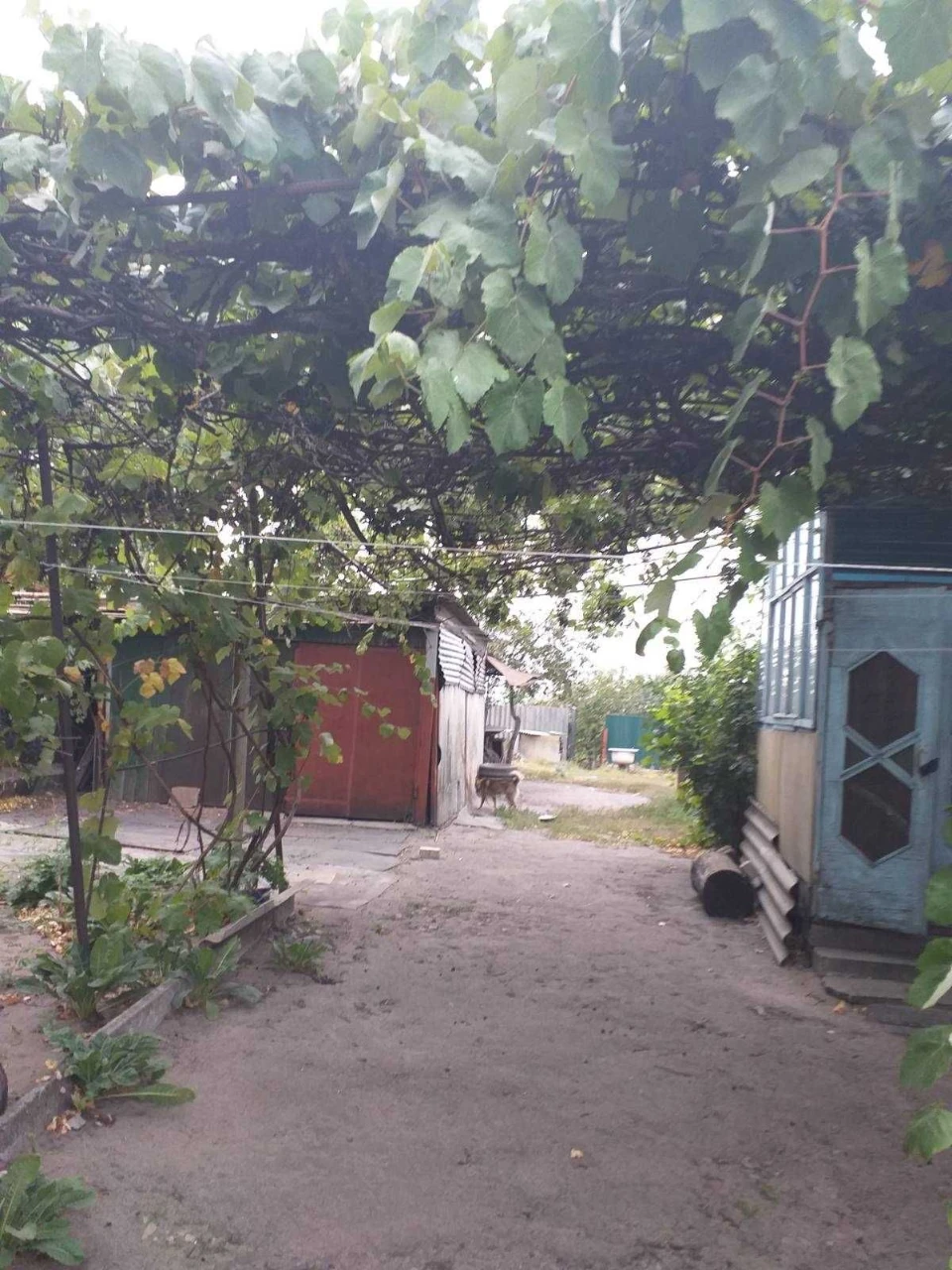Продаж будинку Павлоград район Соснівка
