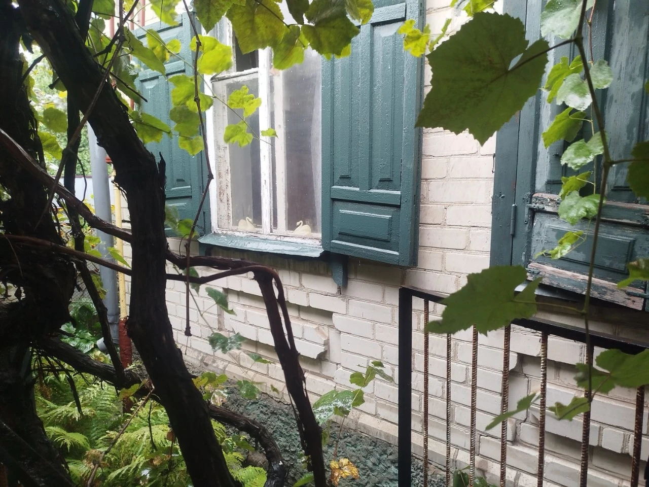 Продам терміново будинок,м.Синельникове.