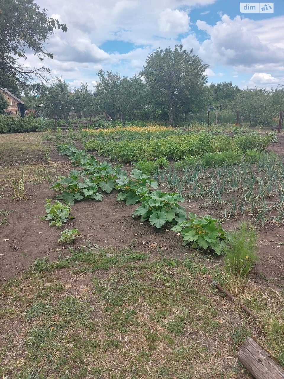 Продаж Дім