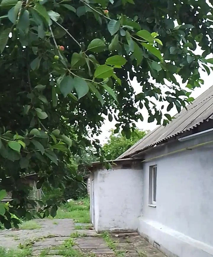 Продам затишний будинок Синельниково, 84 кв.м, 17500, торг,