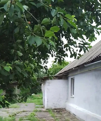 Продам затишний будинок Синельниково, 84 кв.м, 17500, торг,