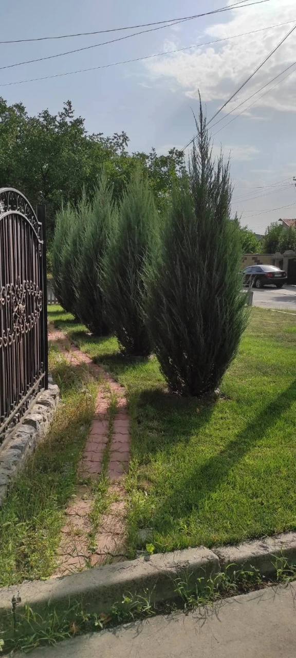 Продам уютный дом в лучшем районе города Терновка.Только про