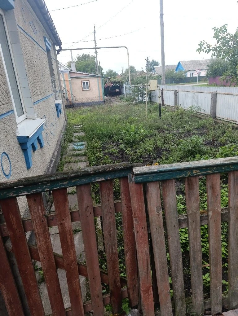 House for sale in Andrushivka