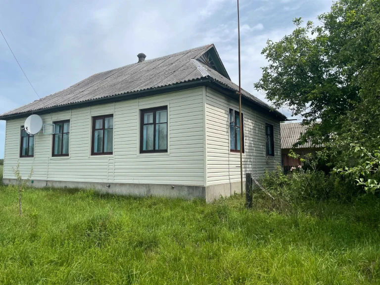 Продам будинок у м. Баранівка — 101,4 м² + 25 соток землі |