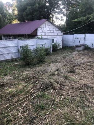 Old house with a plot.