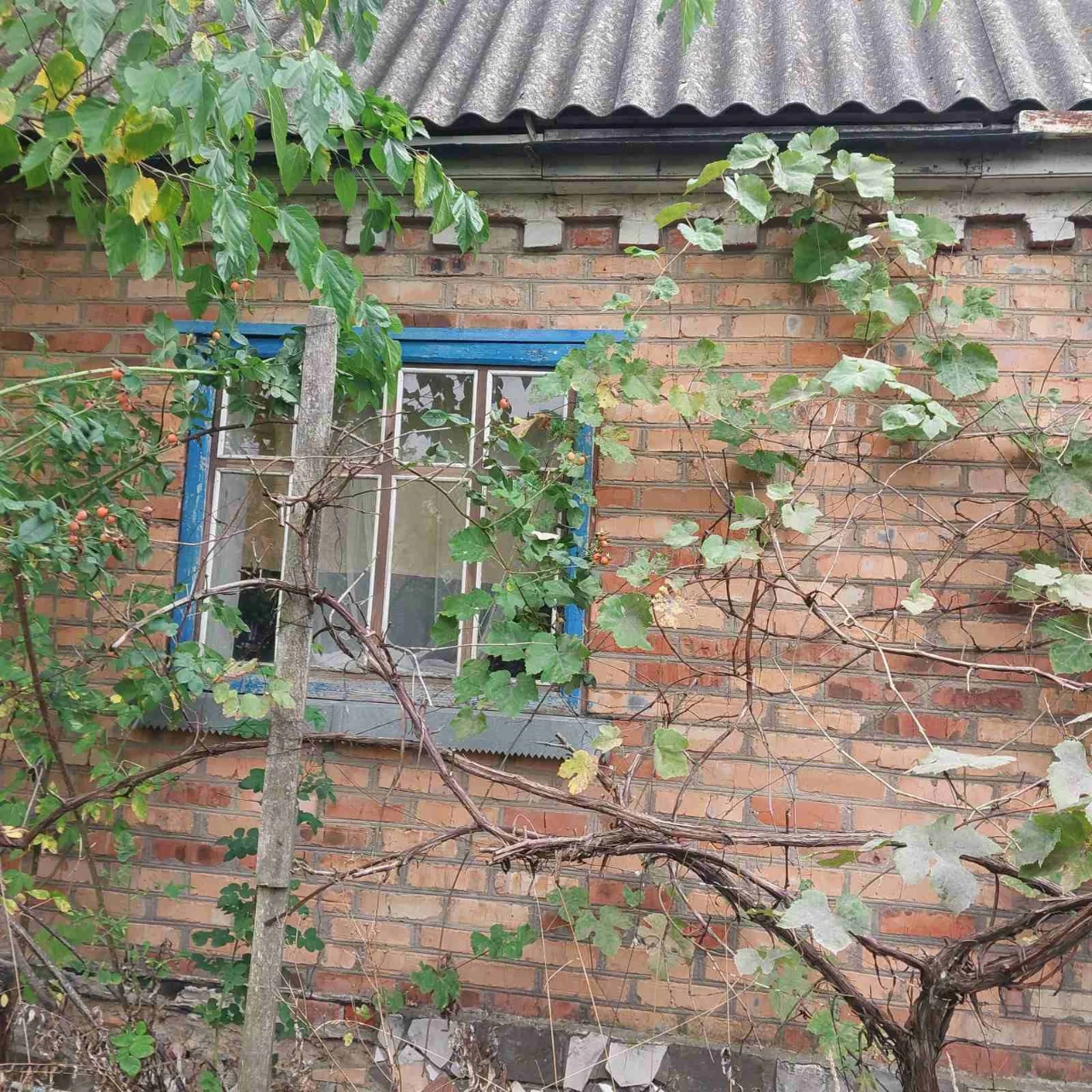 House in village Skragliwka