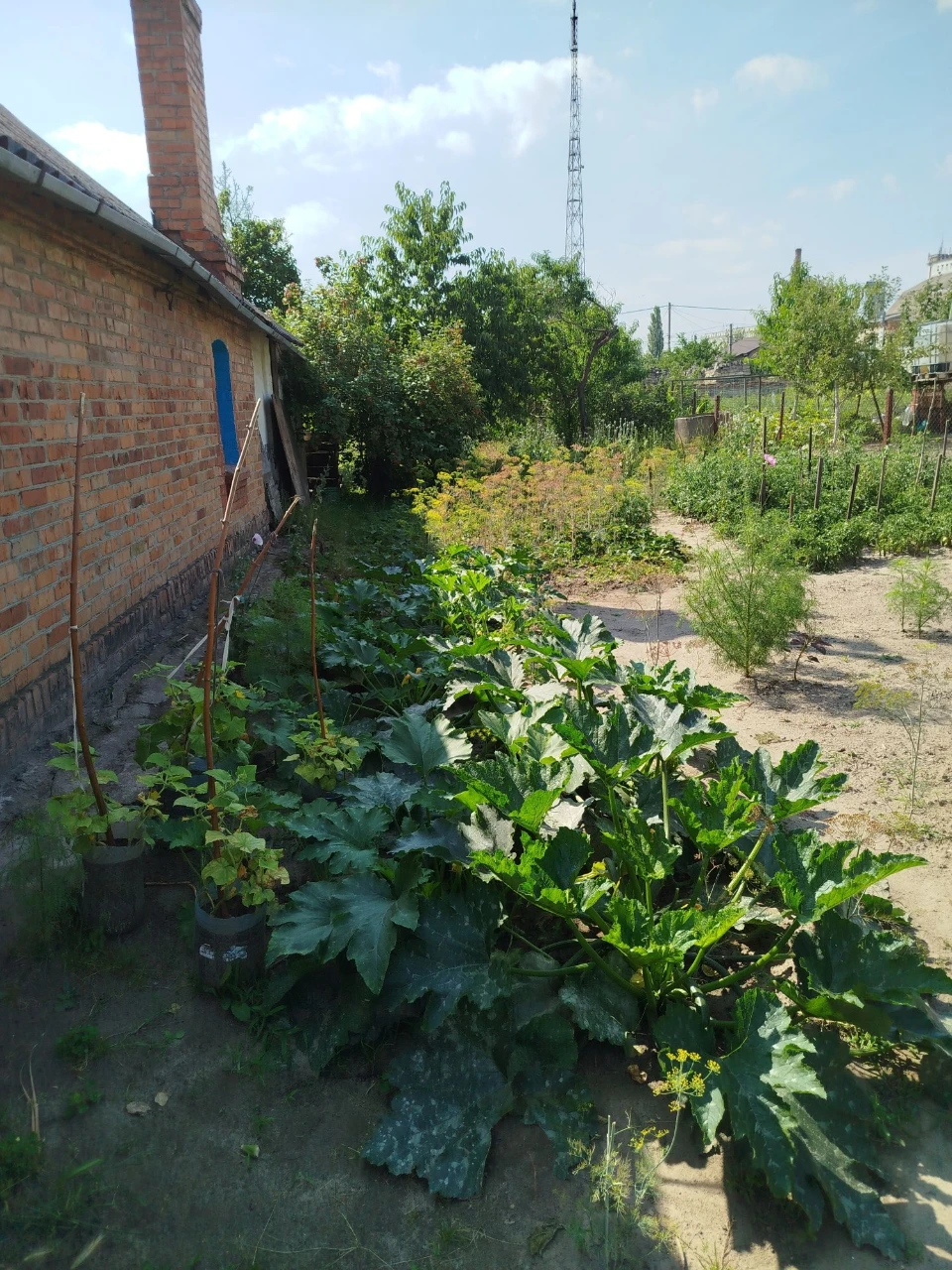 Продається земельна ділянка зі старою хатою.
