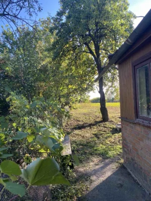 Spacious house with a large plot in the village of Terekhove