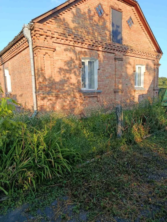 For Sale: House in the village of Velika Pyatyigirka