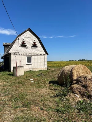House near the forest in the village of Osikov