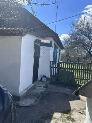 Продам будинок в  Коростені (Пашинах) (оголошення від власни
