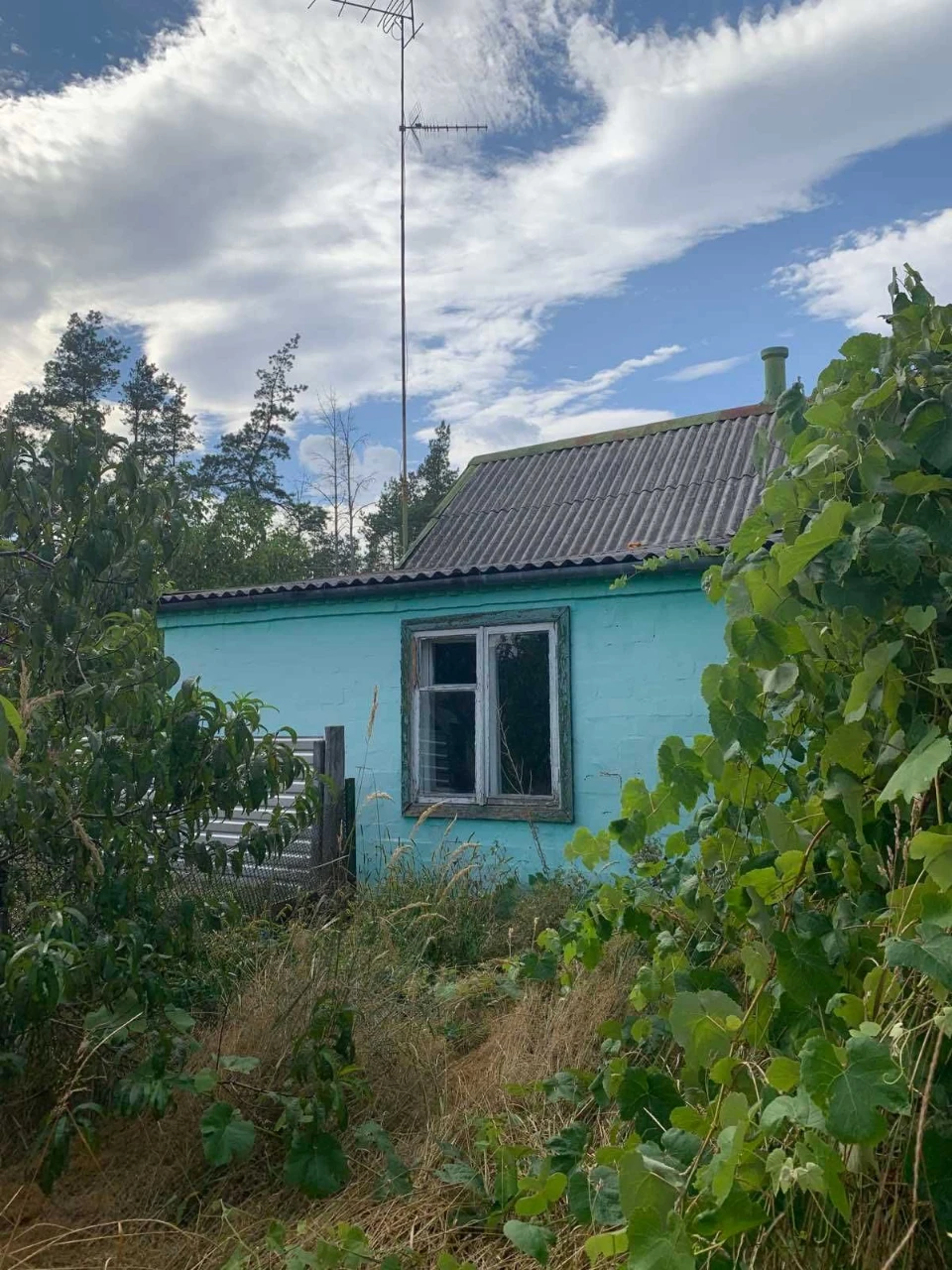 House near the river in a quiet area (Brov area)
