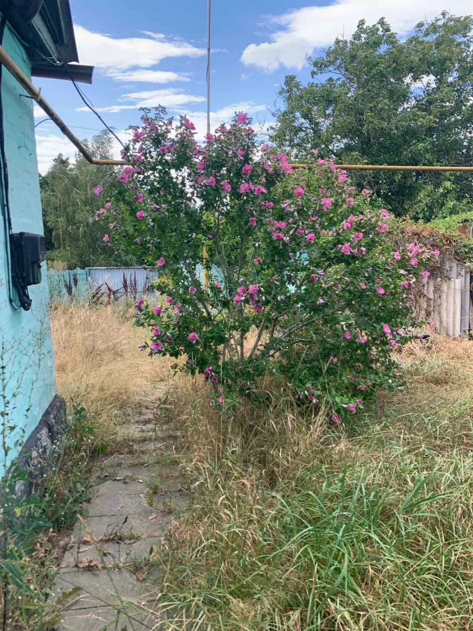 House near the river in a quiet area (Brov area)
