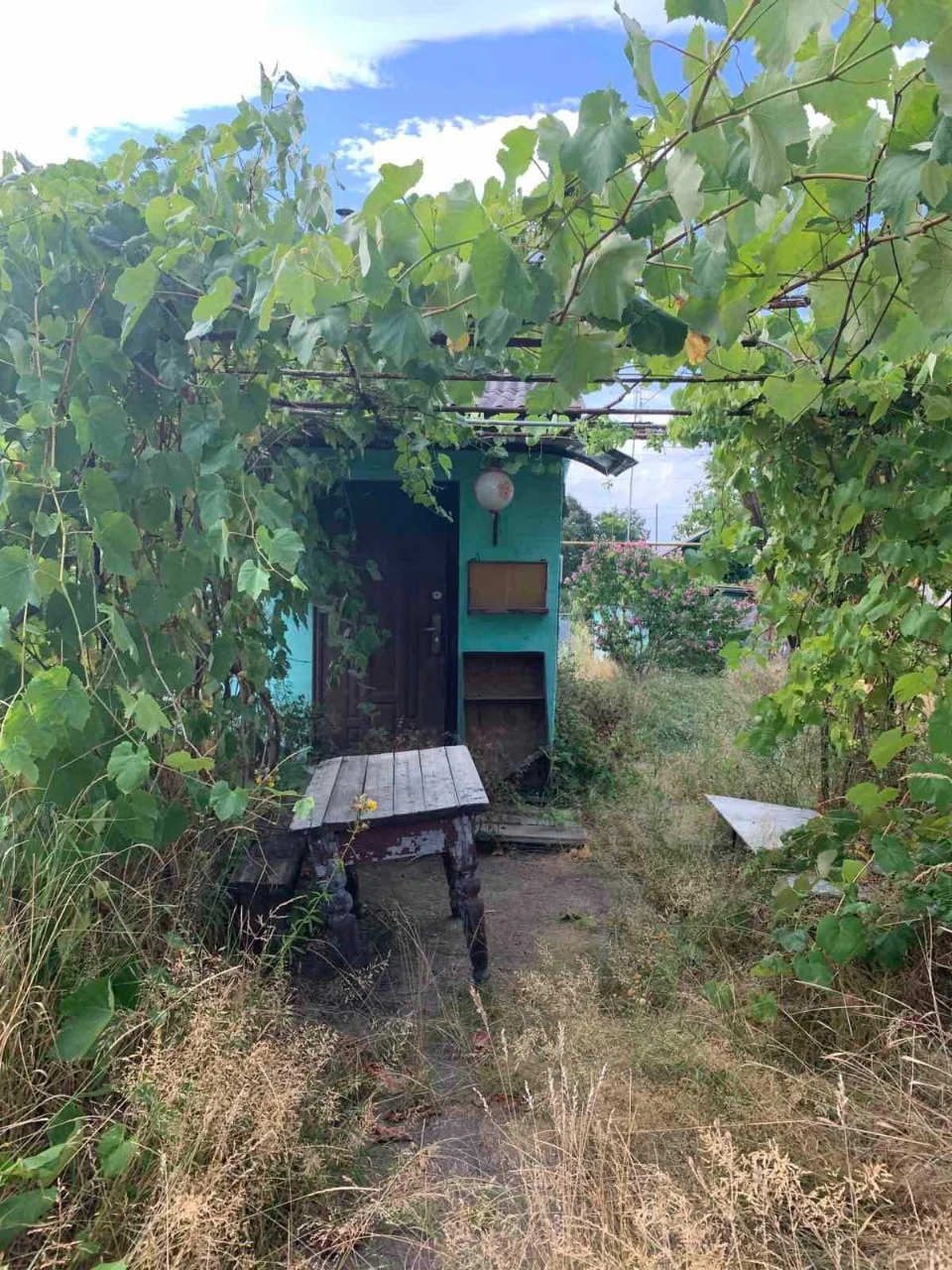 House near the river in a quiet area (Brov area)