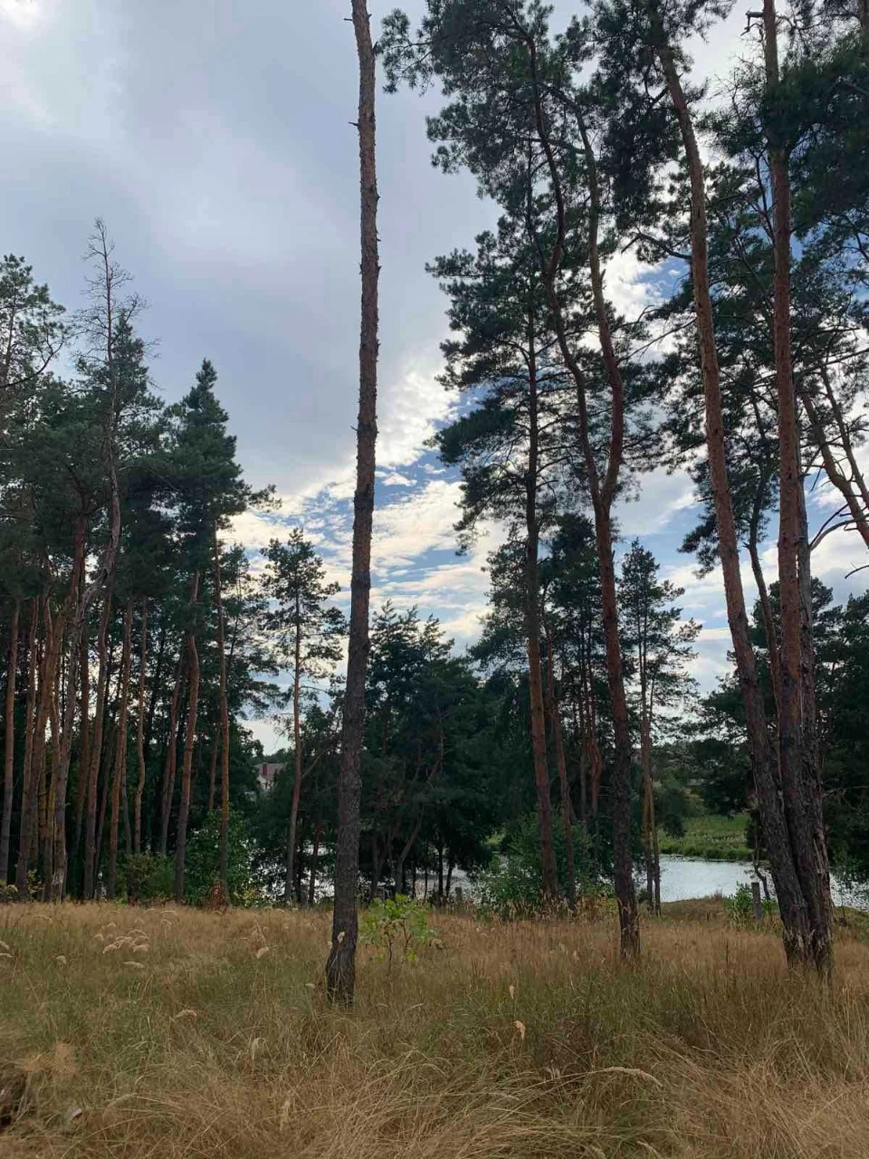House near the river in a quiet area (Brov area)