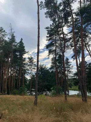 House near the river in a quiet area (Brov area)