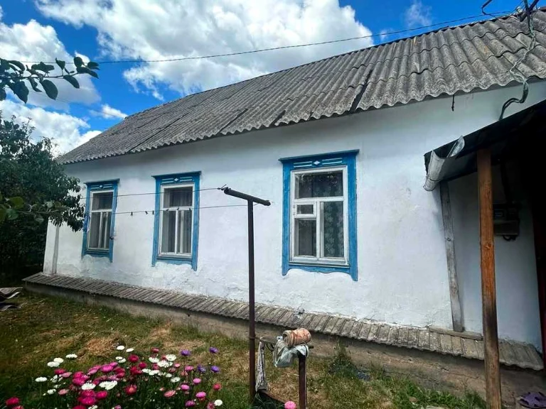 Будинок. Коростень, кралі