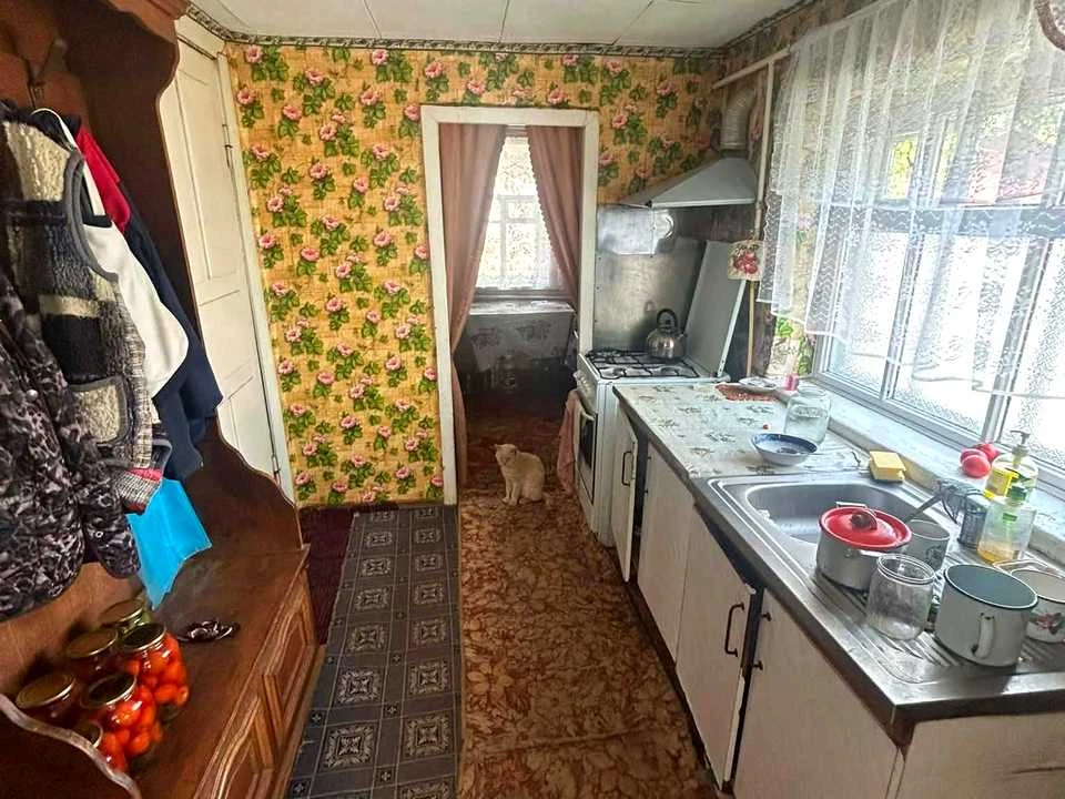 Продається будинок. Коростень, Кралі