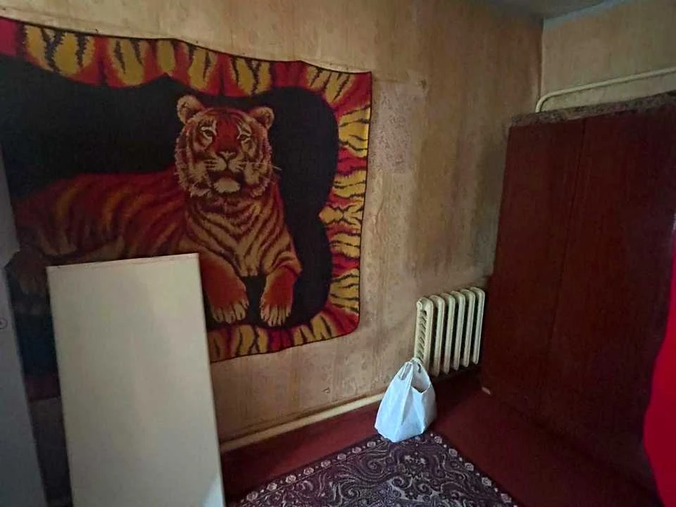 Продається будинок. Коростень, Кралі
