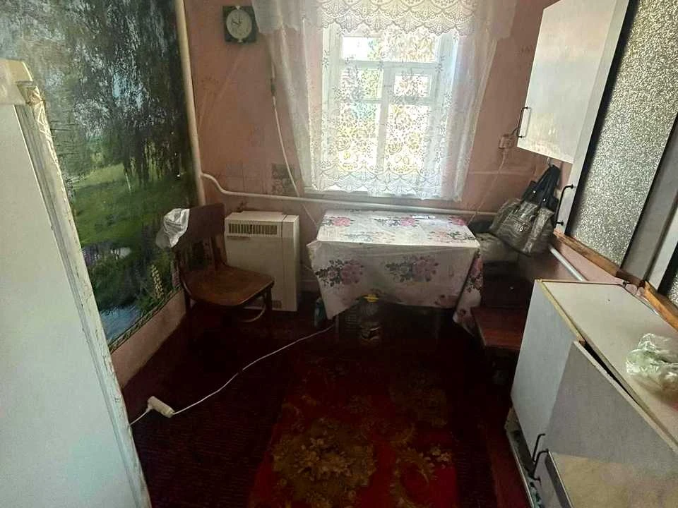 Продається будинок. Коростень, Кралі