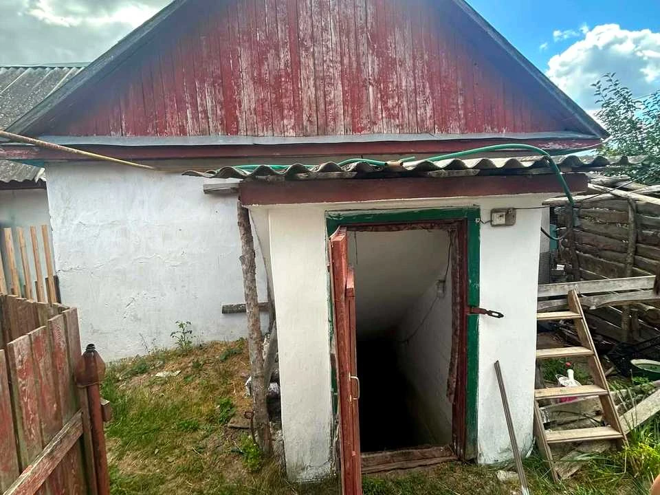 Продається будинок. Коростень, Кралі