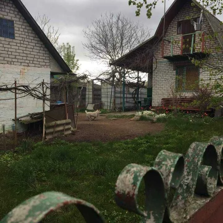 Продаю будинок поблизу річки Уж (вул.Грушевського)