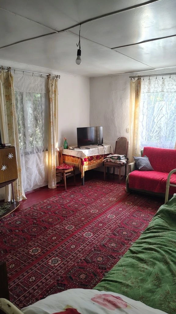 С. Гуменники продаж будинку 48 м кв.