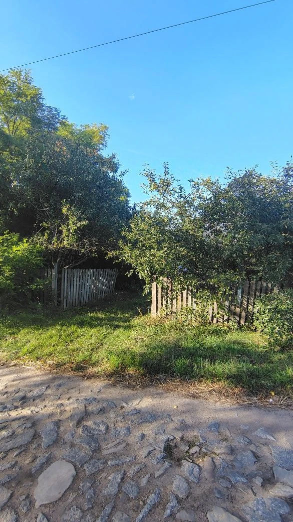 С. Гуменники продаж будинку 48 м кв.