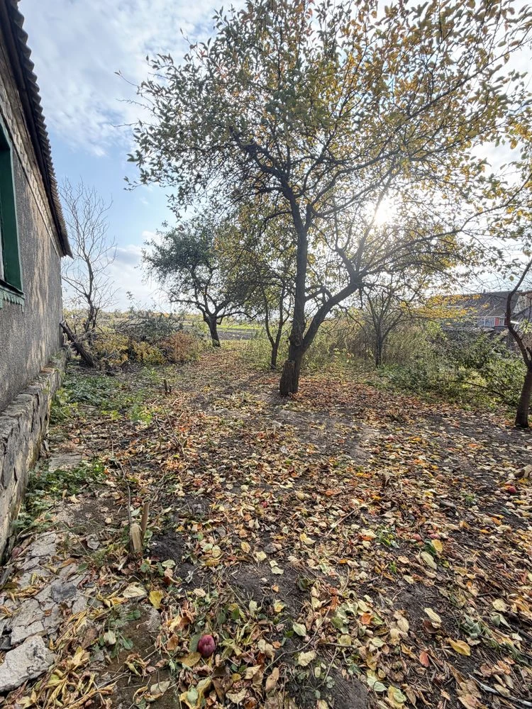 House for Sale in the Village of Kam'yany Brid