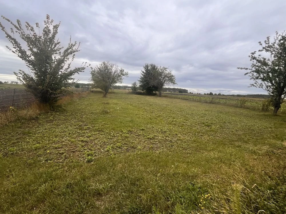 For sale brick house