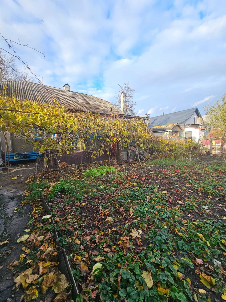 № 13853 - Кирпичный дом в г. Коростышев, 6.5 соток