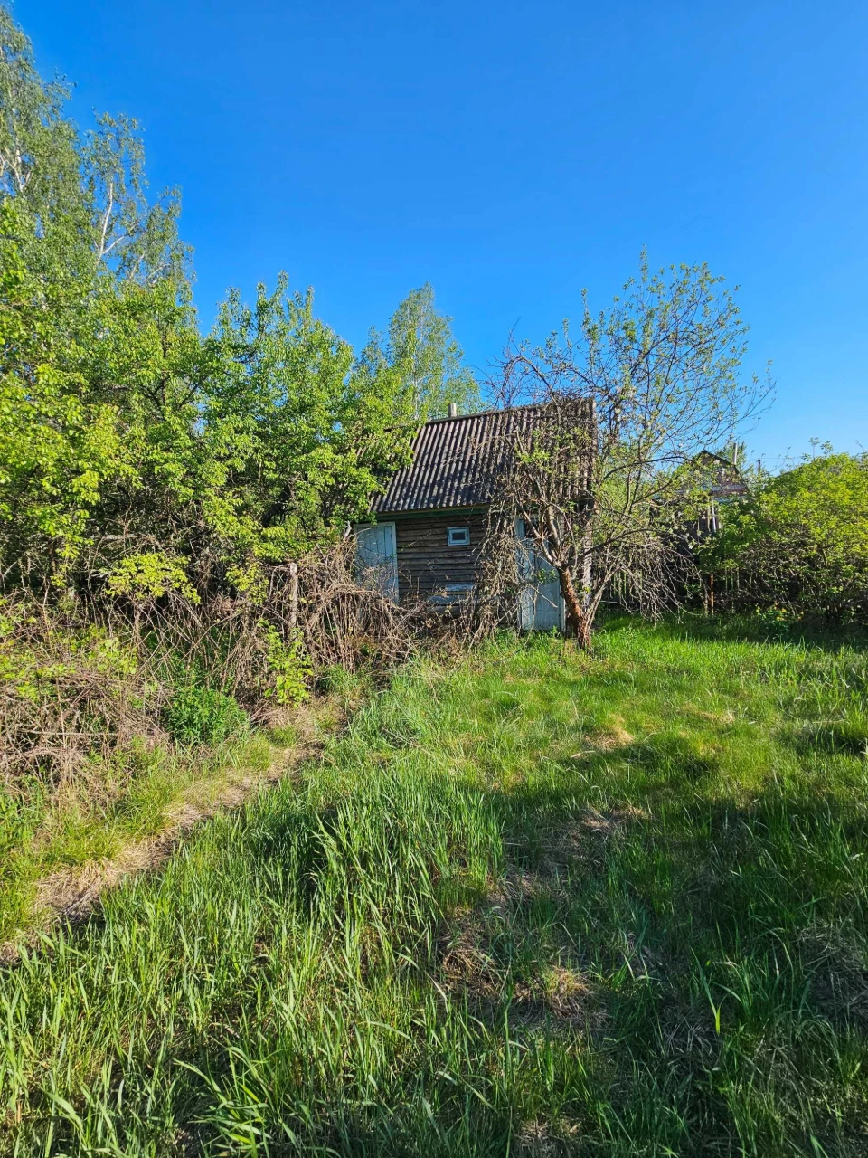 Country House, House, Plot
100 km from Kyiv