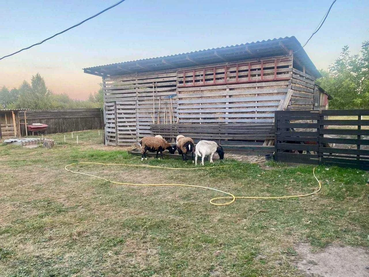2 БУДИНКИ на 3 га. Міні Ферма біля Малину. База Відпочинку.