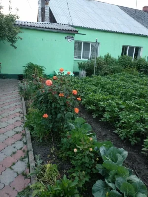 Приватний будинок