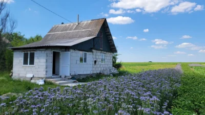 будинок хата дача