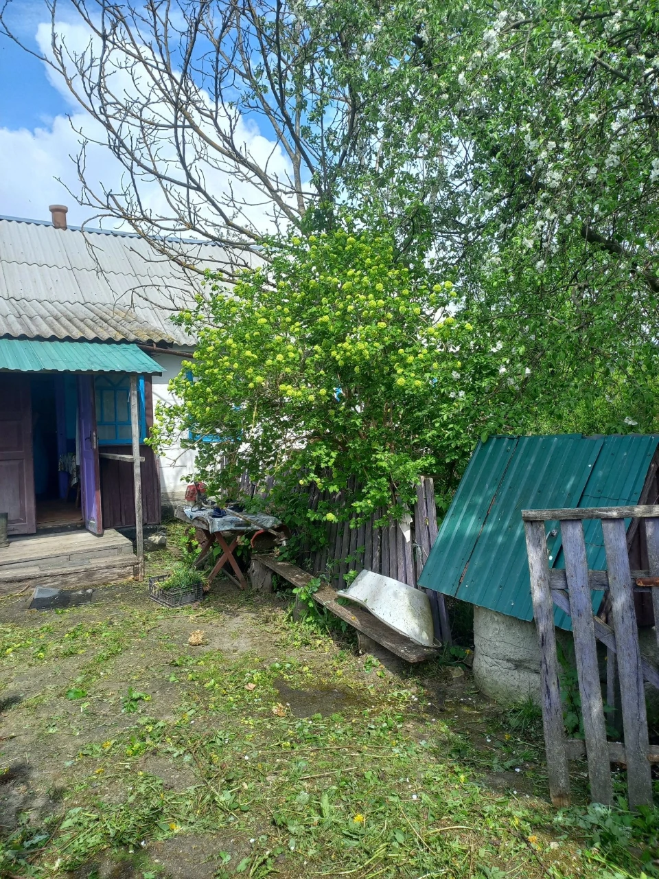 Продам будинок у селі