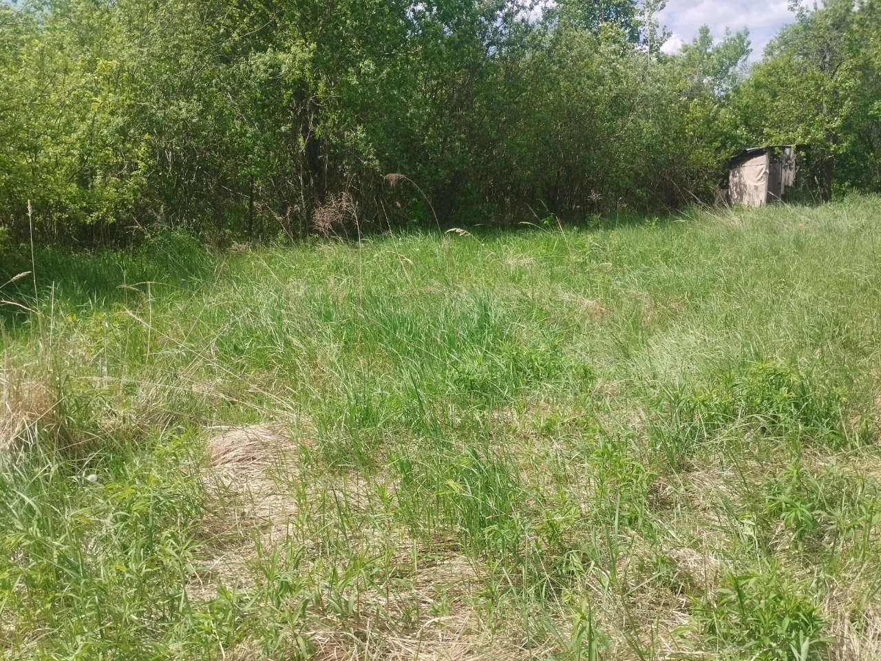 Продам дачу 6 соток