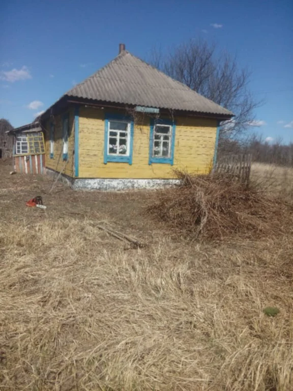 Хата в селі ( будинок )