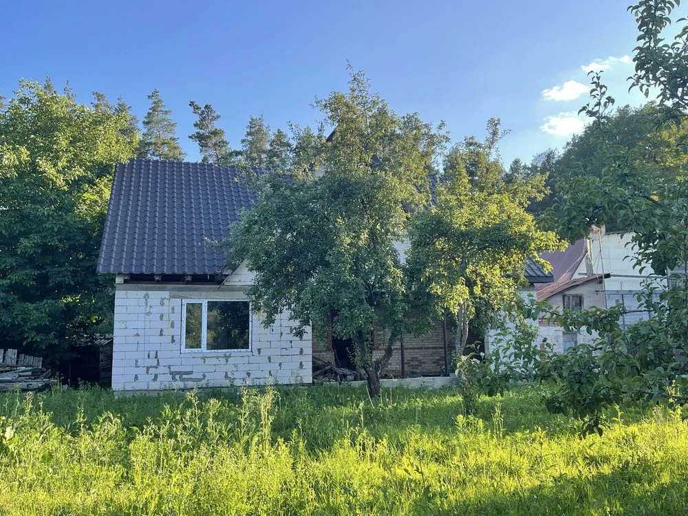 Власний куточок спокою біля лісу